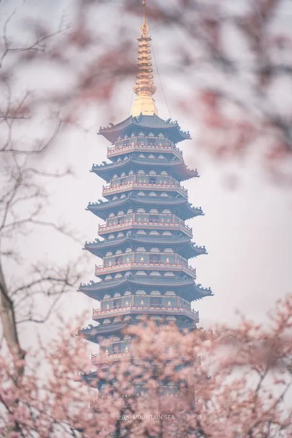 Discover the Top 5 Stunning Plum Blossom Spots in Jinhua!