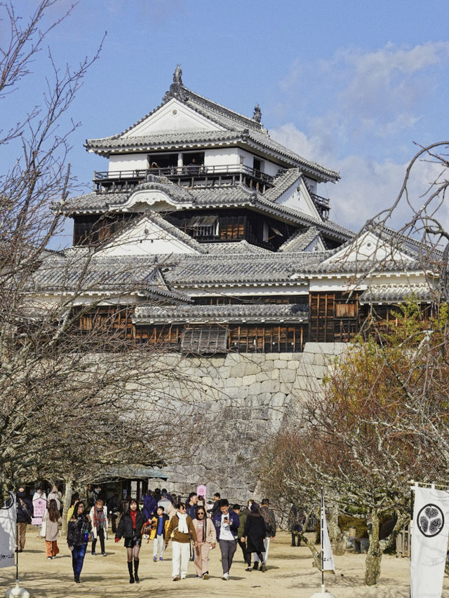 四國松山｜愛媛除了道後溫泉，還有松山城