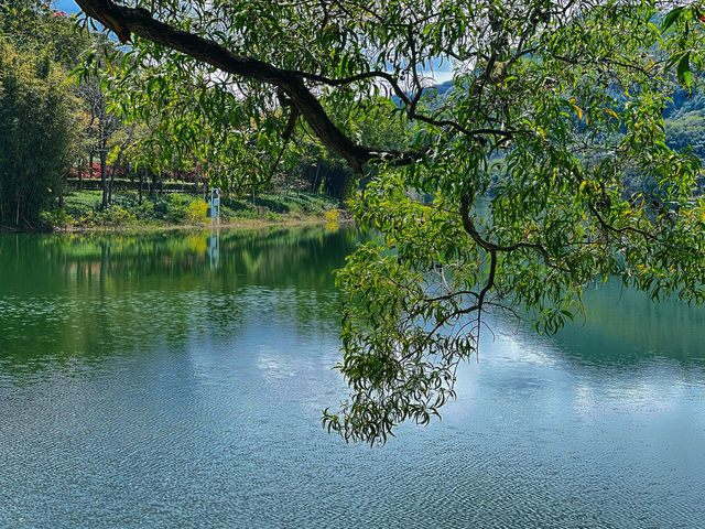 🎇中山金钟湖，如詩如畫的美景