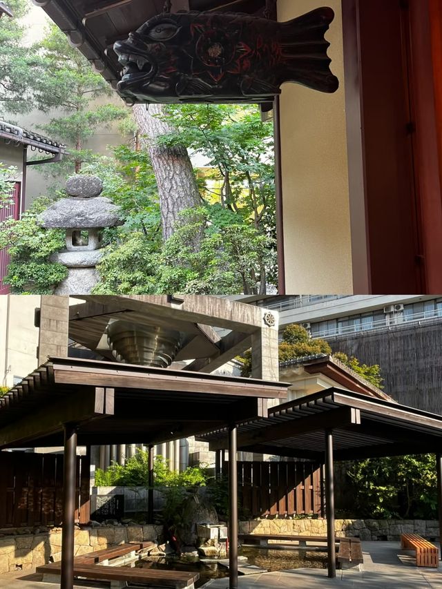 來加賀市必備打卡攻略
