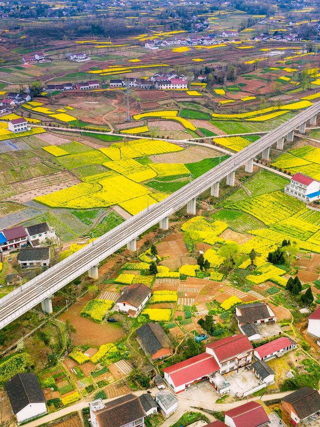 我在漢中上春山，邂逅西北小江南