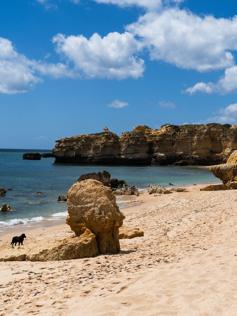 Albufeira | Sự kết hợp hoàn hảo giữa mặt trời và bãi biển