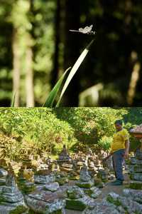 峇里島象窟秘境，青苔封印的千年禪房