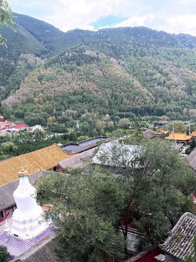 河南三門峽大壩等地25天遊玩全攻略熬夜總結 必看