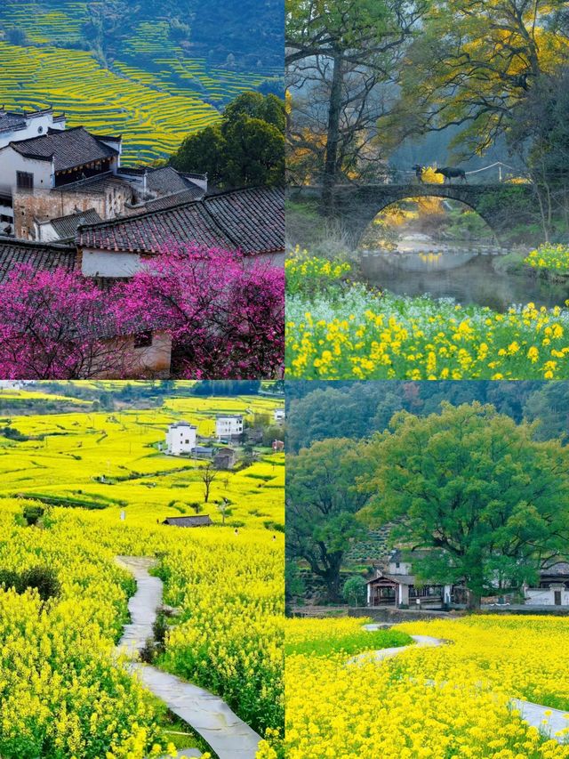 解鎖江西寶藏地！望仙谷邂逅壯美靈山