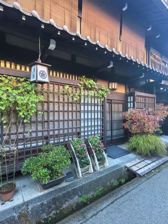 6日春季日本遊｜理想賞花勝地攻略