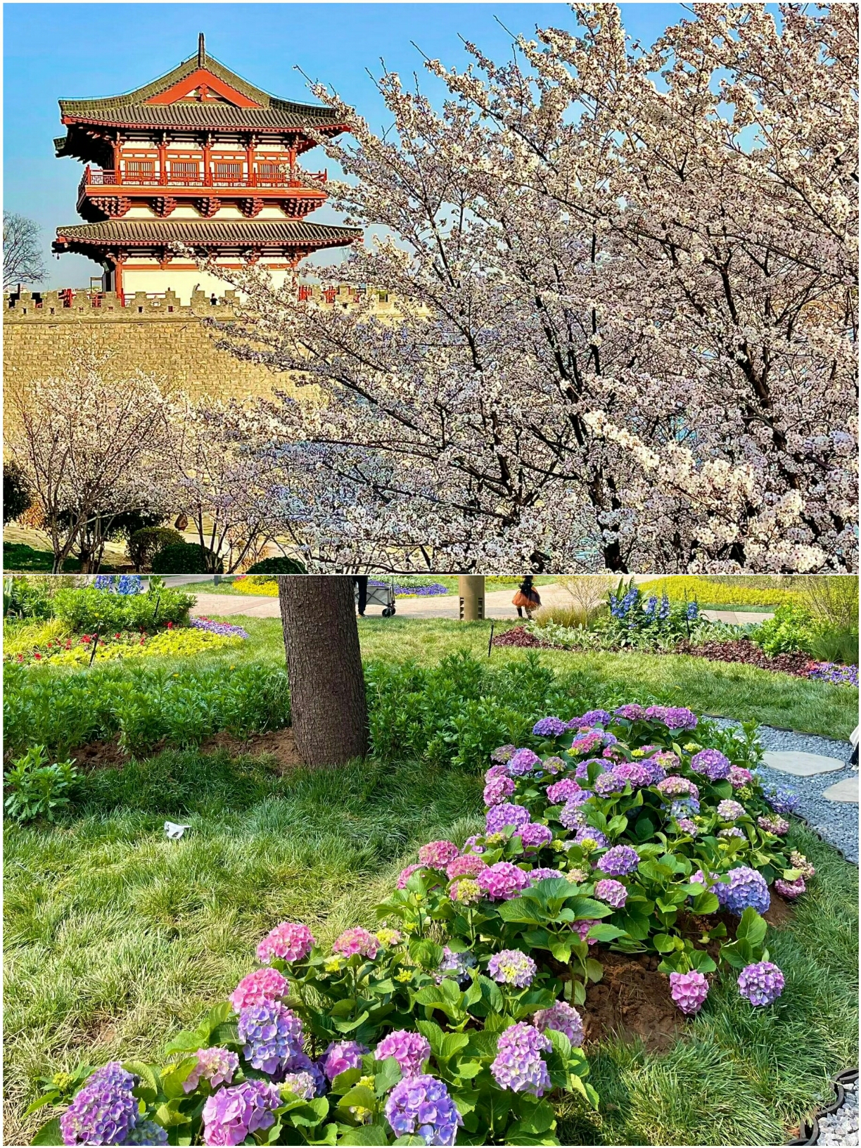While it may sound harsh, this is the current situation in Luoyang…