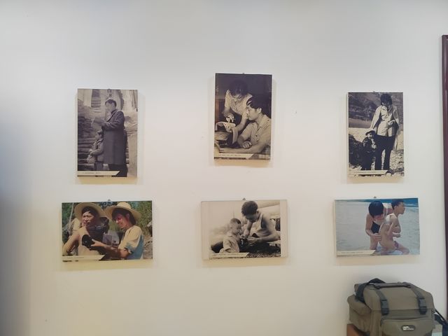「繼承傳統，科學發展」