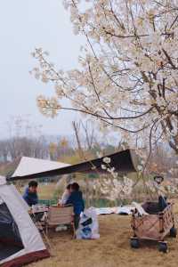 成都週末｜公園露營天花板，櫻花樹下烤肉撈魚
