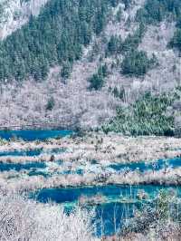 6日橫跨阿壩藏族羌族自治州等地超完整攻略 快來get