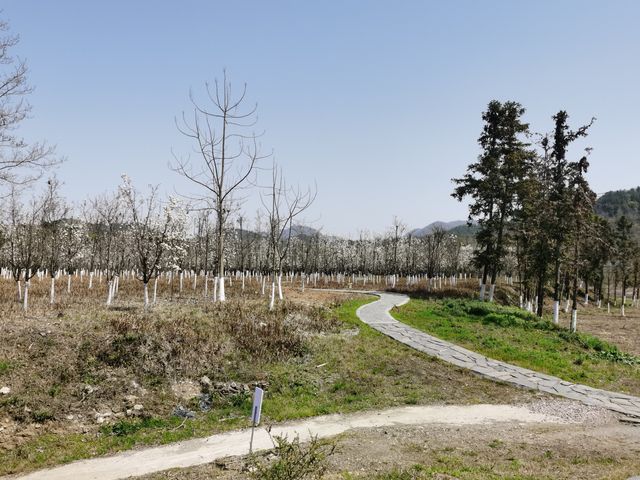 高山平湖 秦巴仙境 遊安康瀛湖