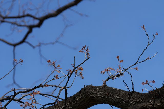 三月北京日壇公園旅遊攻略