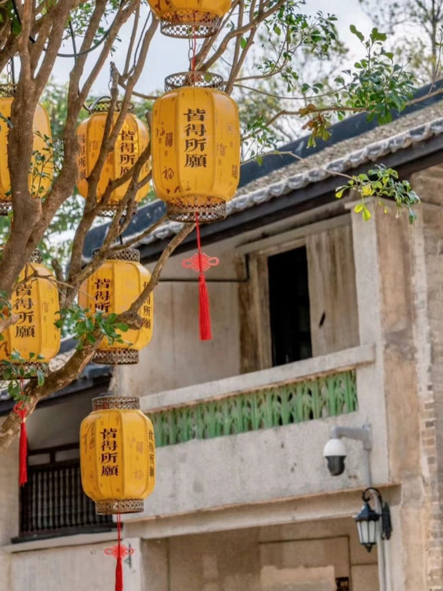 觀瀾山水田園文化園，超級愜意的深圳田園度假地✨