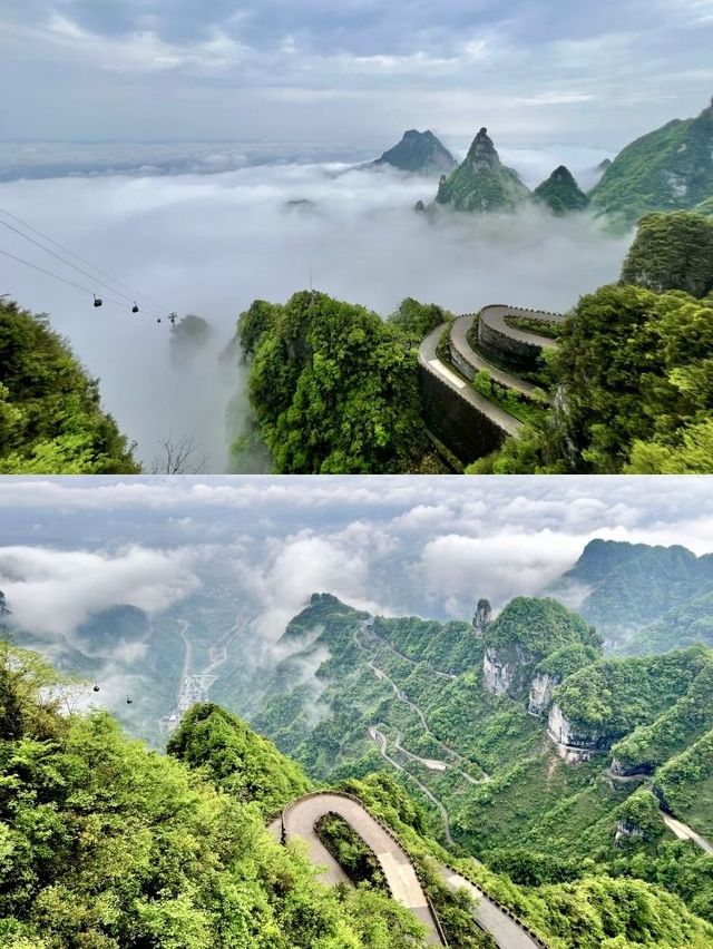 5日暢遊張家界等地 睇山睇水睇世界
