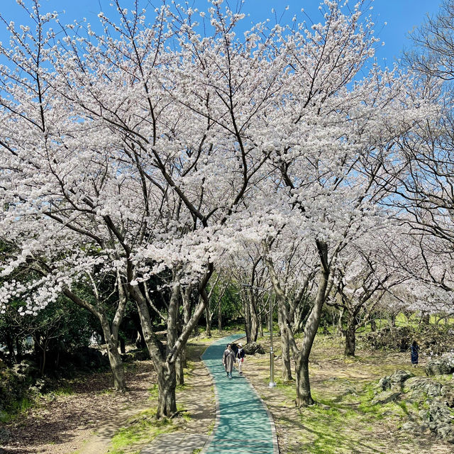 📍新山公園 | 體驗在地生活的寶藏角落