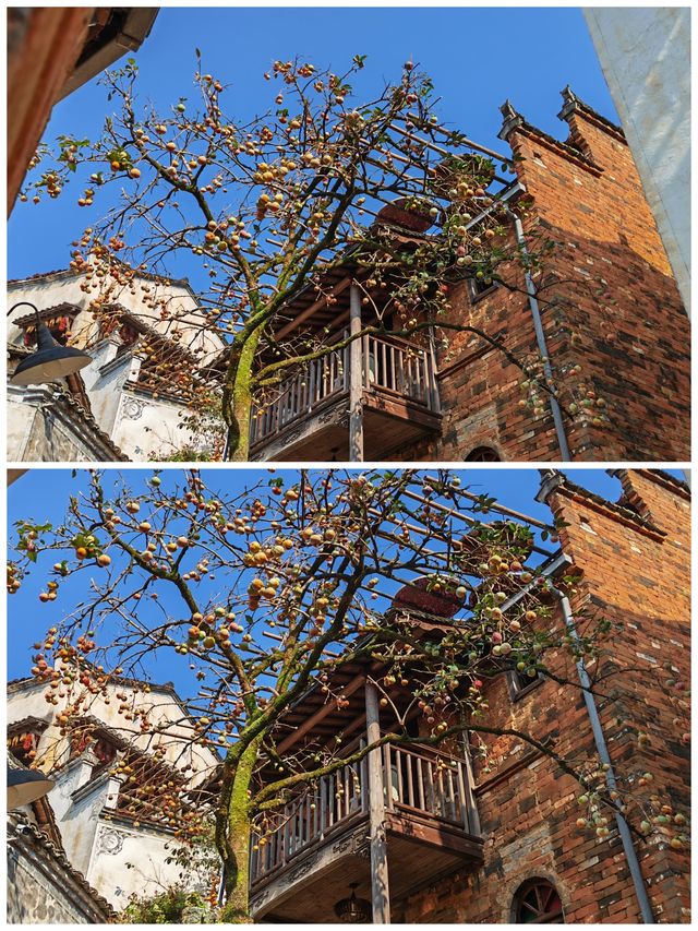 贛東北探秋丨婺源篁嶺景區c