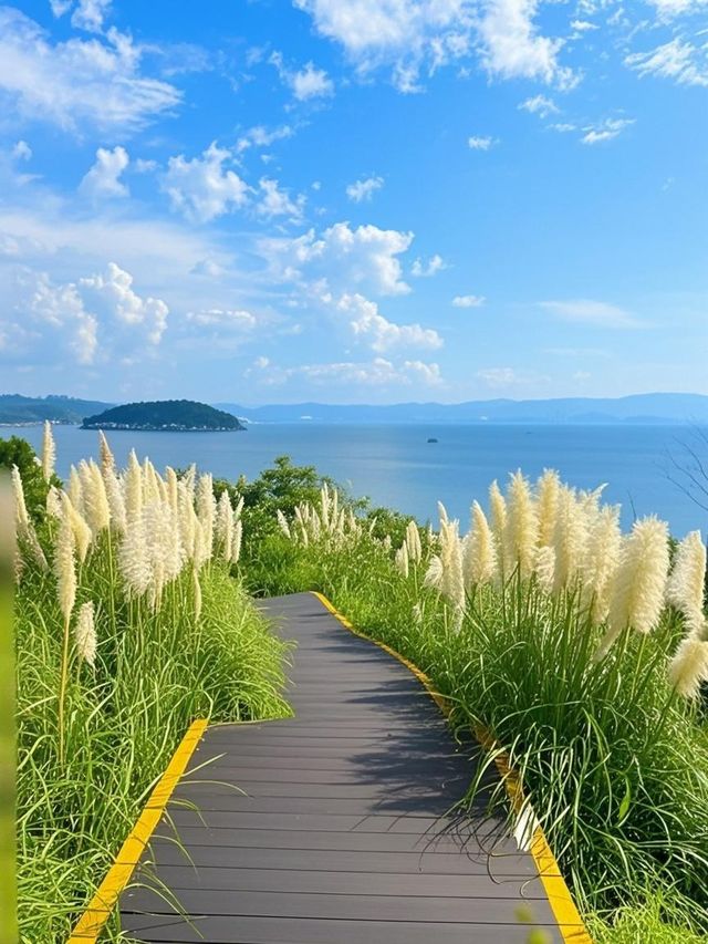 大理神仙玩法！帶娃環洱海秒變白族小勇士