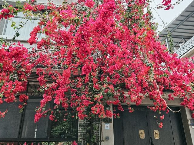 充滿古今情懷的唐家古鎮