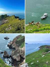四礵列島｜比峇里島更原始，比紐西蘭更仙！