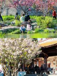 台兒莊古城寶藏之旅：入住湖光月色，吃遍古城美食  五一假期將至，想要一場既能放鬆身心，又充滿趣味的旅