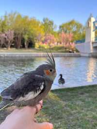北京朝陽公園｜超全遊玩攻略