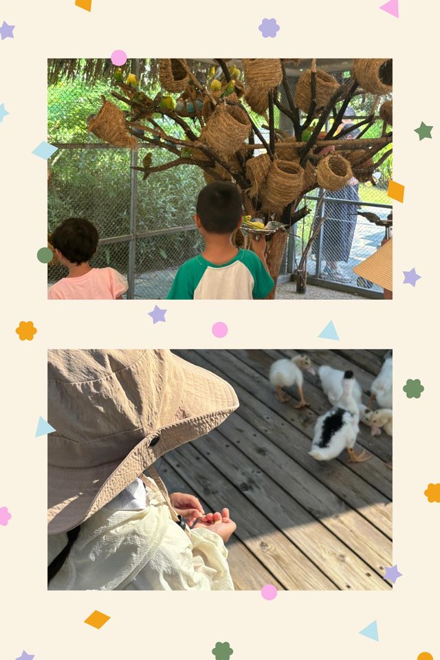 珠海浸溫泉旅遊攻略