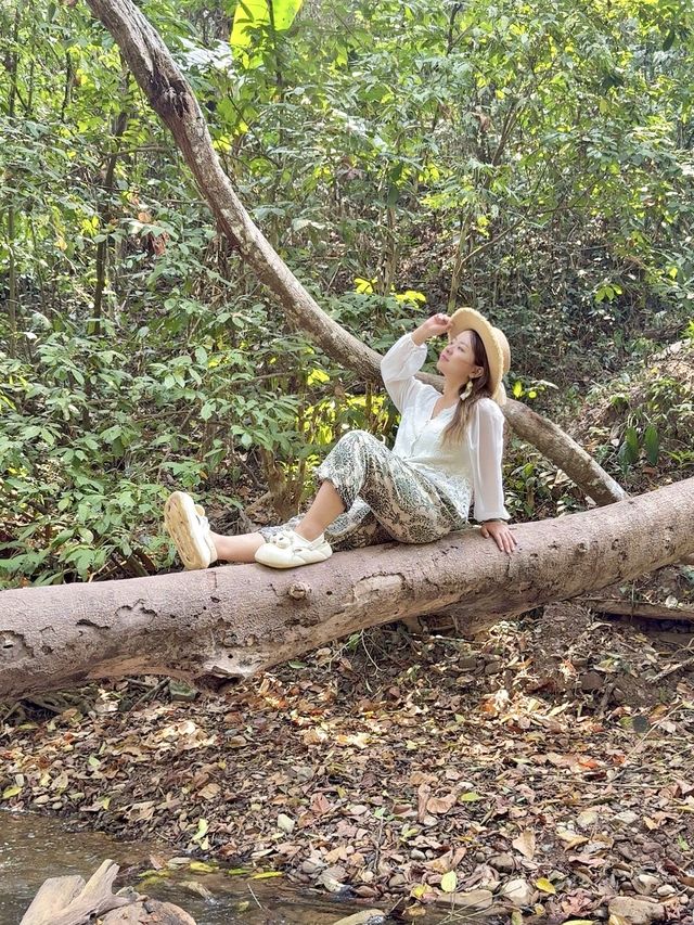 西雙版納雨林徒步|與世界失聯的5個小時.......