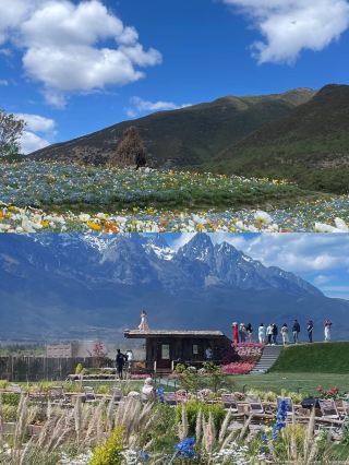 Just got back from Lijiang, and here's the truth, no sugarcoating
