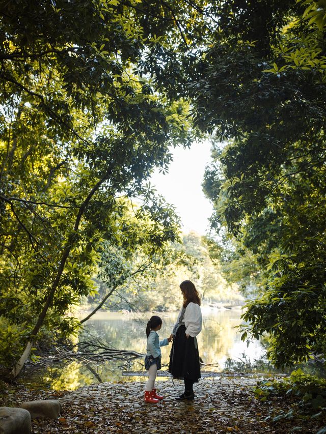 南昌踏青·象山森林公園超全攻略
