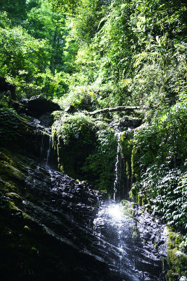 成都周邊免費溯溪玩水地，也是徒步避暑秘境！