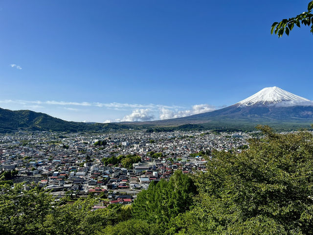 A Day with Fuji