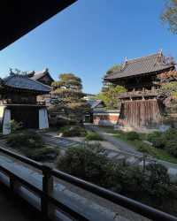 京都小眾天橋立一日遊攻略，打卡關西秘境