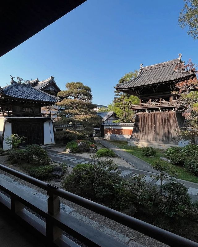 京都小眾天橋立一日遊攻略，打卡關西秘境