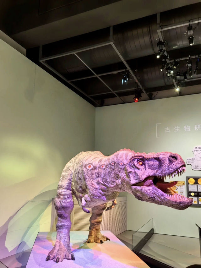 知識的奇幻樂園：香港科學館的好奇之旅