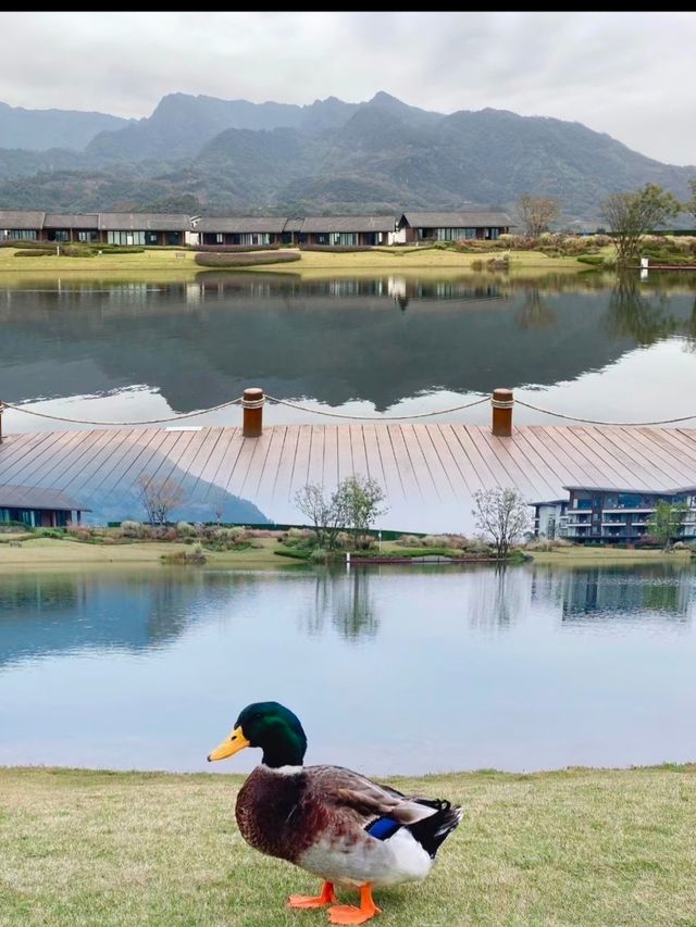 在樂山，不可錯過的峨眉山高橋裡恆邦·涵田度假酒店