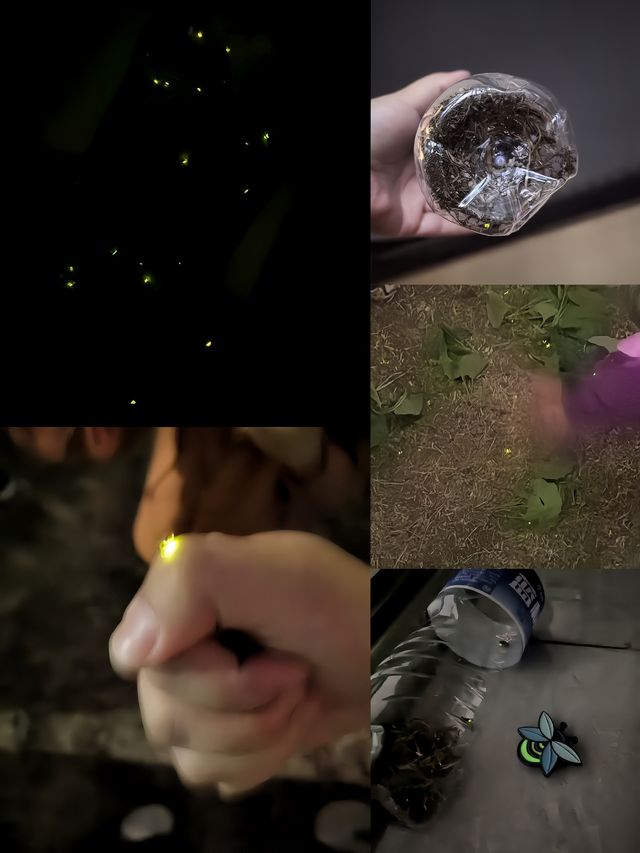 帶娃吹吹礦野的風｜螢光晚會露營