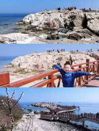 煙台果凍海秘境｜養馬島自駕環島全攻略