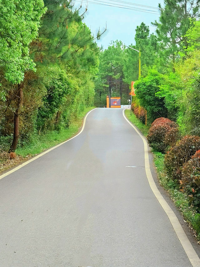蕪湖周邊露營寶藏地