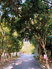 Hunan Botanical Garden: A Floral Diversity Book in Changsha