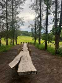 泰國Khao Yai Art Forest交通攻略｜探秘森林藝術秘境