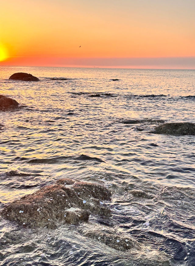 【2025日出封神攻略】北戴河必睇5大秘境！附全年觀賞指南