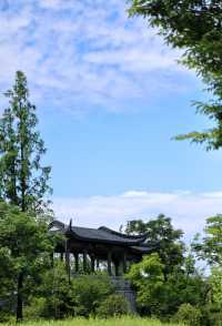 上虞運河畔嘅街區，活力煥新，休閒好去處！