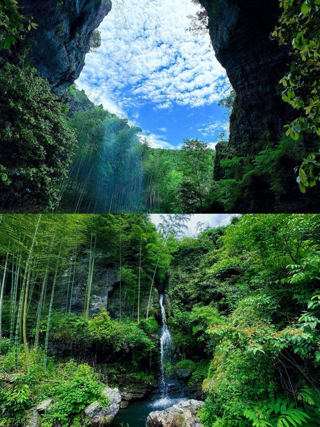 22℃嘅夏日仙境！解鎖避暑湊仔天堂！