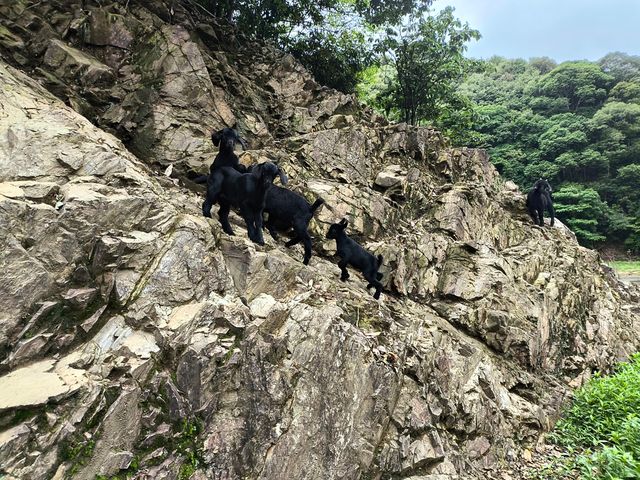 探索清流溫家山