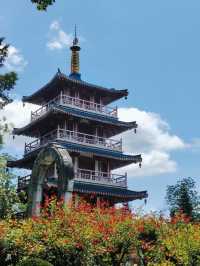 徒步虞山國家森林公園，解鎖自然與人文的雙重盛宴
