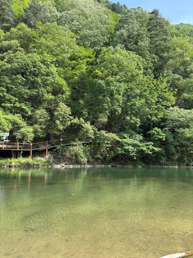 西安1小時綠光森林翡翠潭