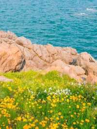 青島九龍山路：環海公路變身「莫奈花園」！