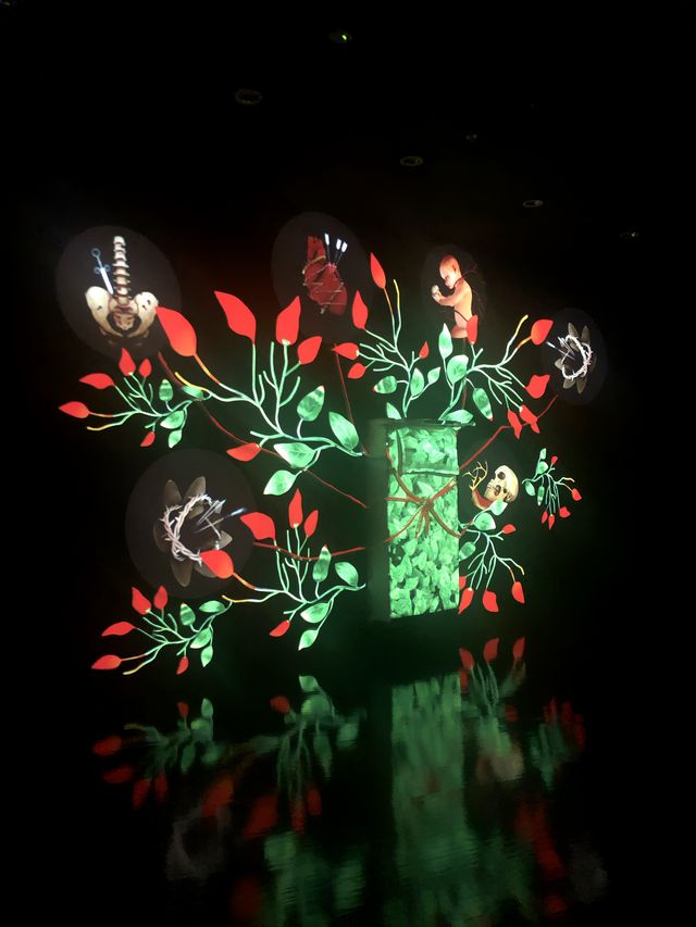 新加坡藝術科學博物館遊覽體驗