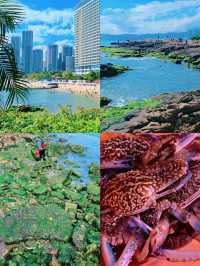 惠州海邊隱藏玩法：草坪露營+海景一次擁有