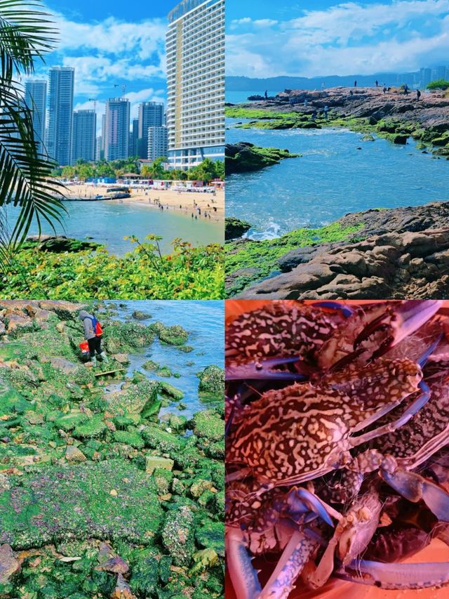 惠州海邊隱藏玩法：草坪露營+海景一次擁有